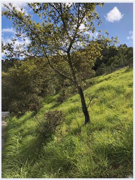 San Rafael Residential Lot Opportunity