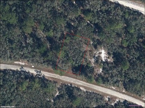 LAND - Lake Placid, FL