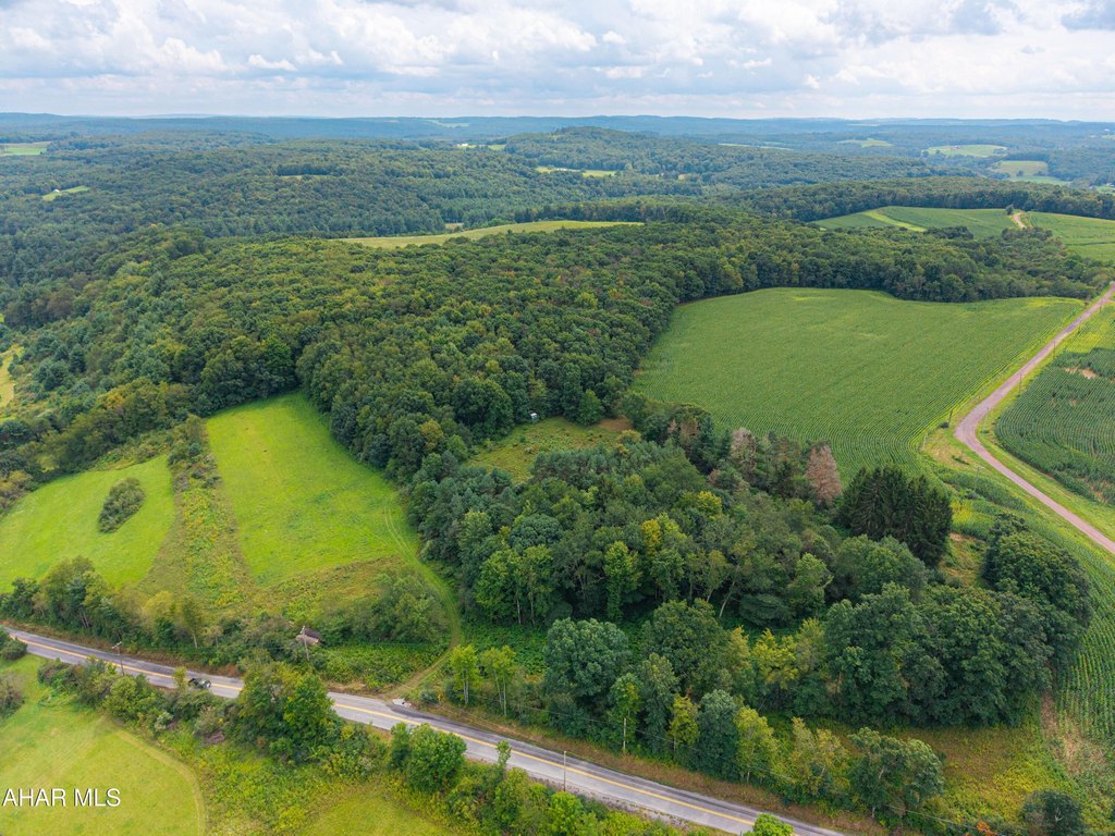 Picture 2