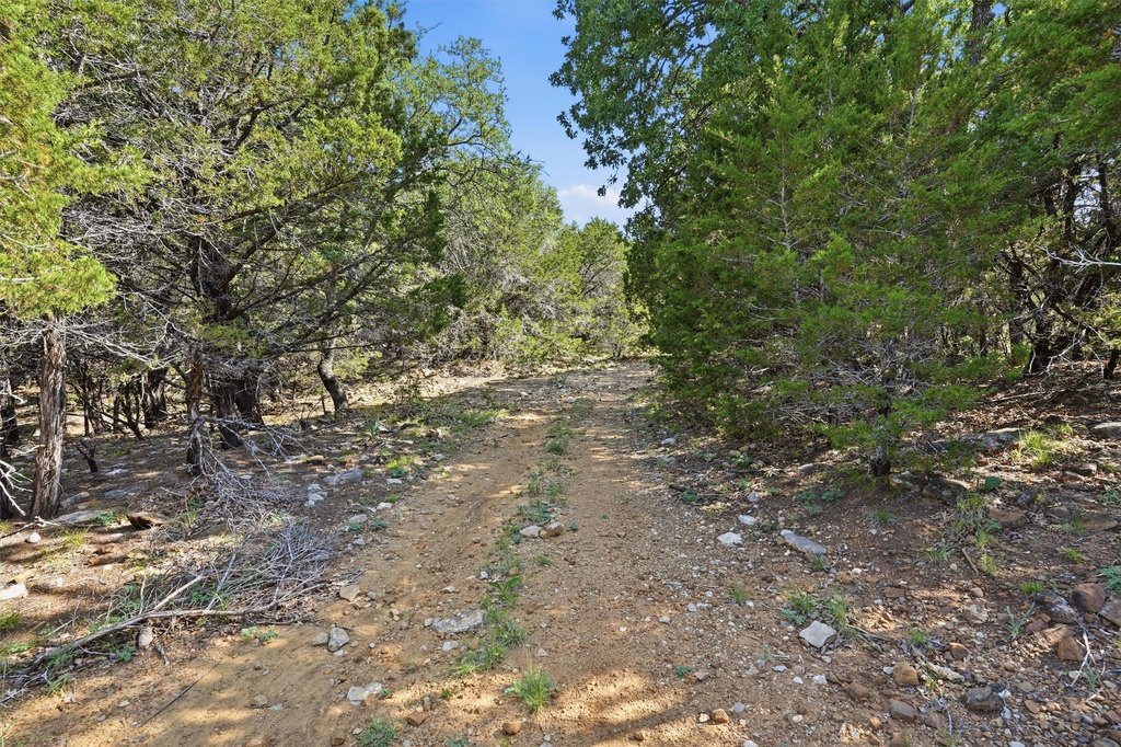 Picture 14