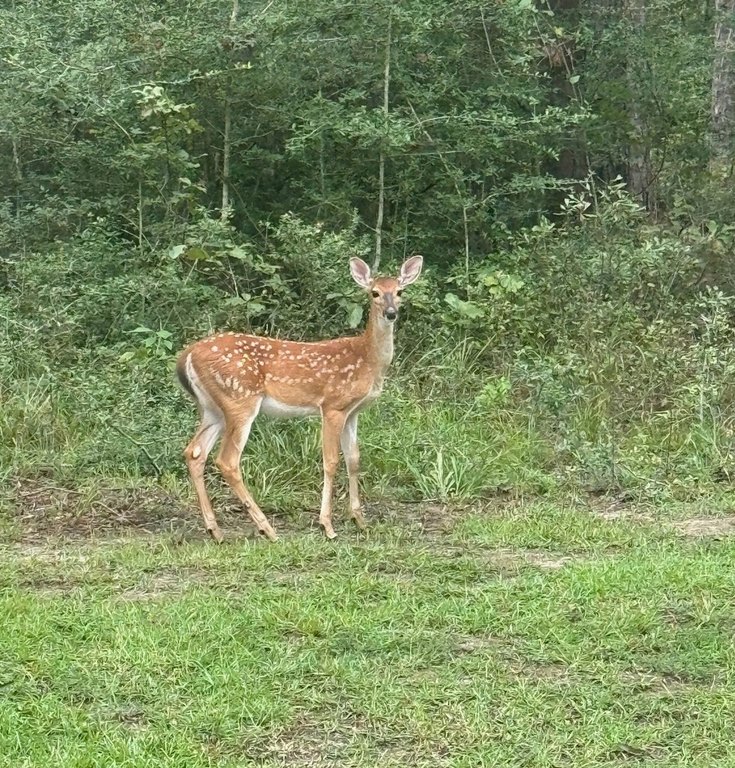 Picture 3