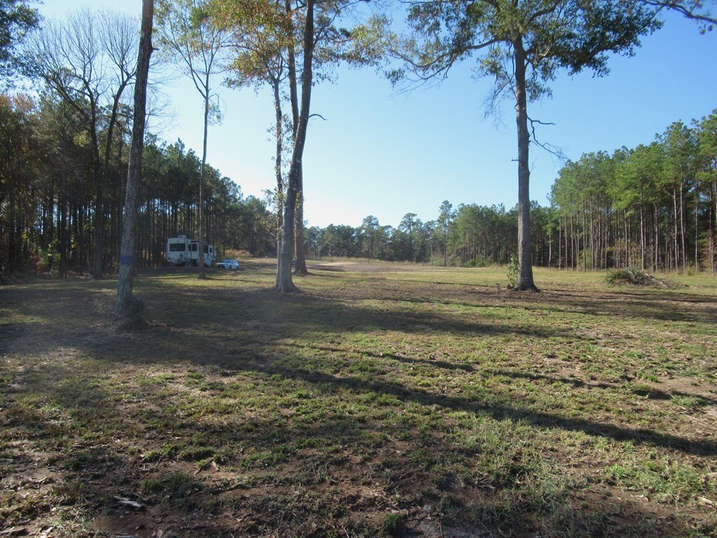 Picture 23