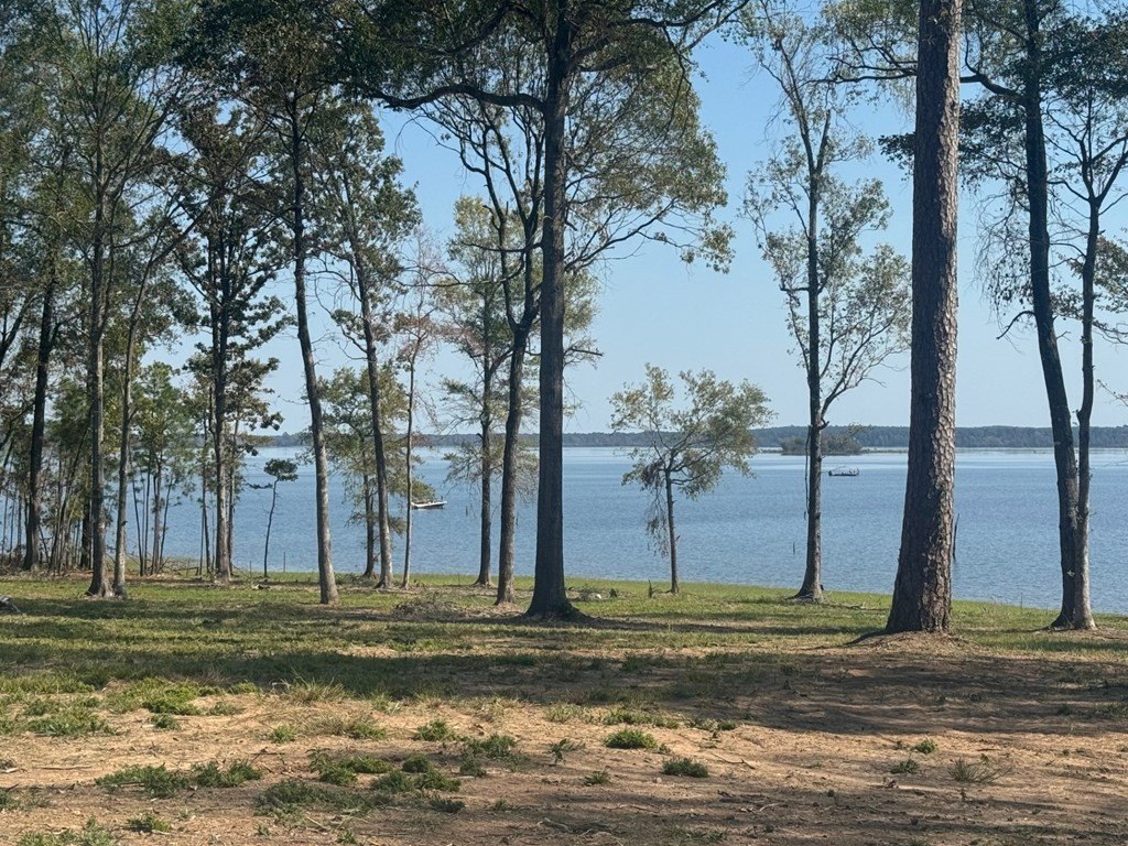 Picture 26