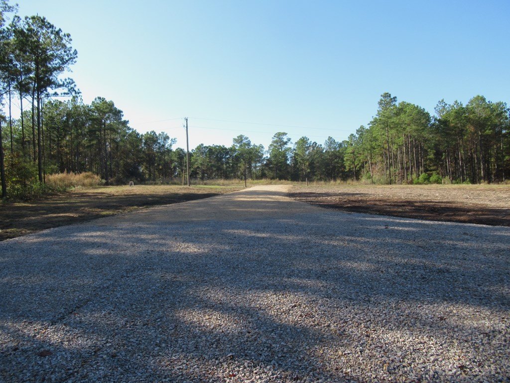 Picture 25