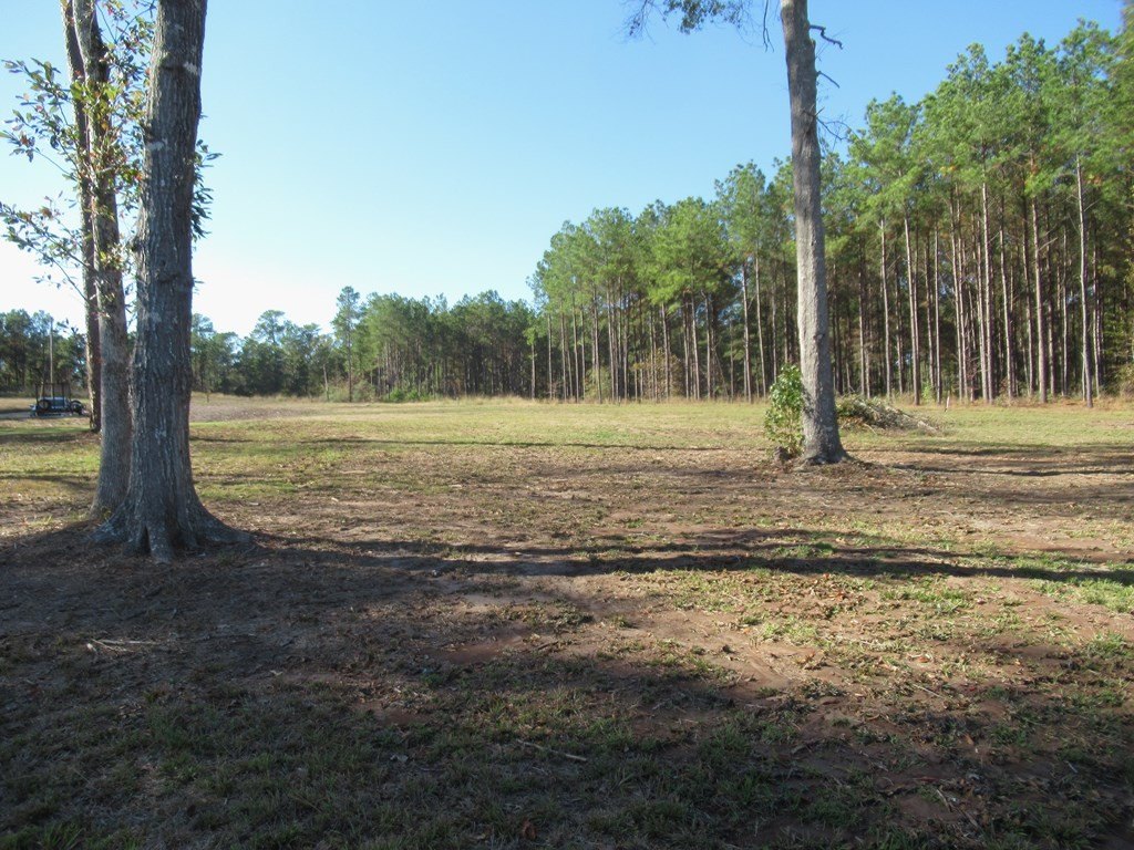 Picture 20