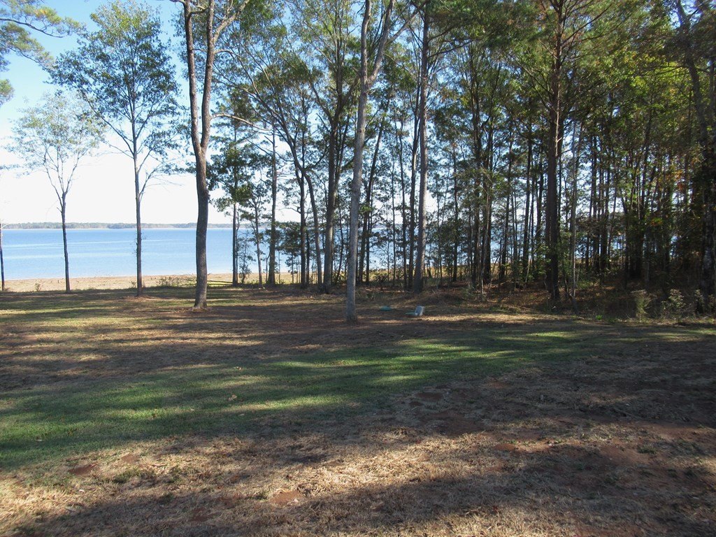 Picture 14