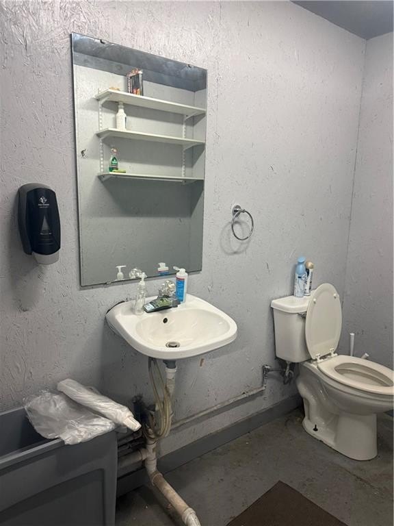 Picture 5