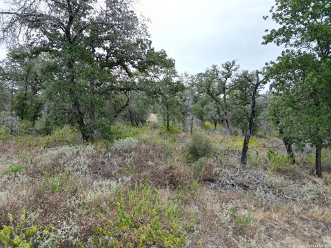 Land, La Vernia, TX