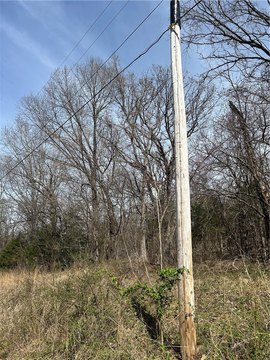 Lowell, AR Wooded Lot