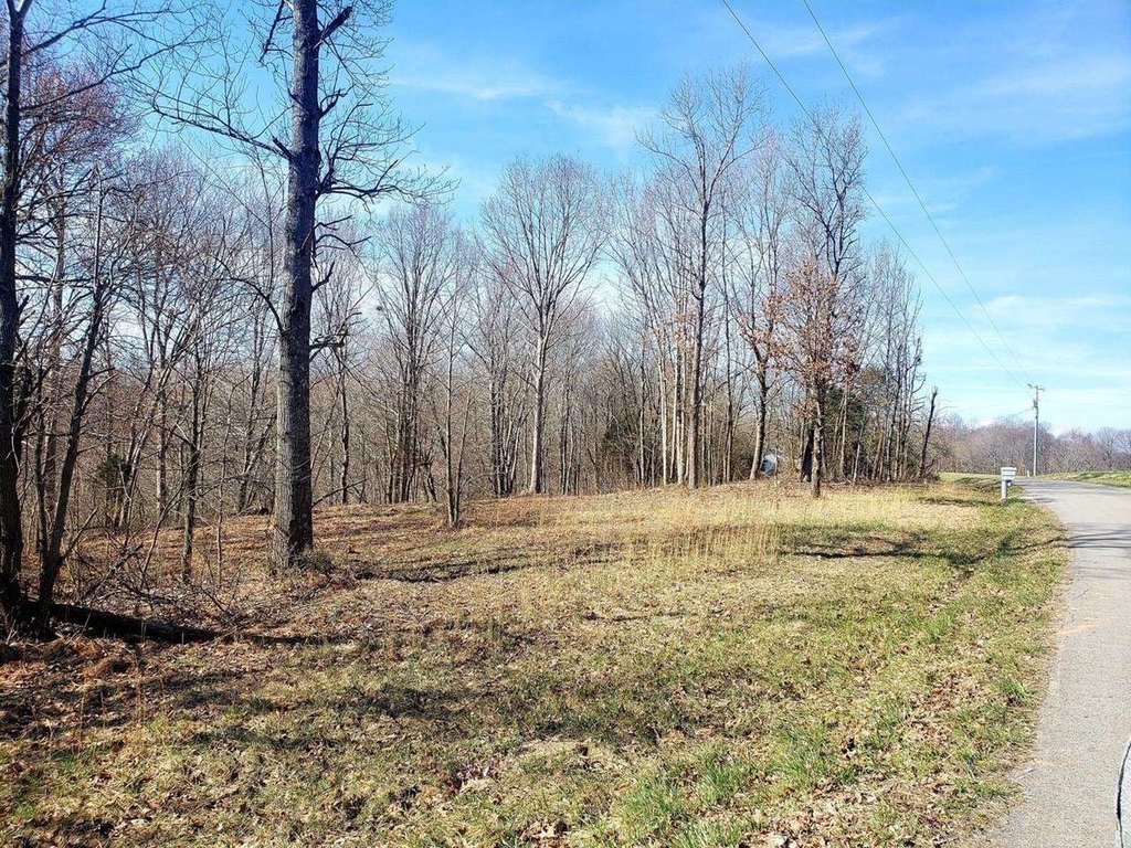 Picture 5