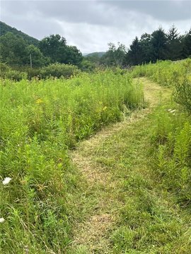 LAND - Delhi, NY