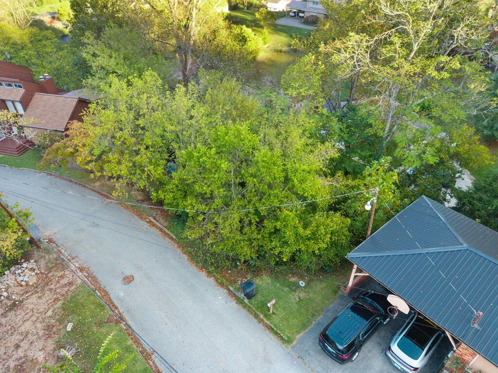 Picture 13