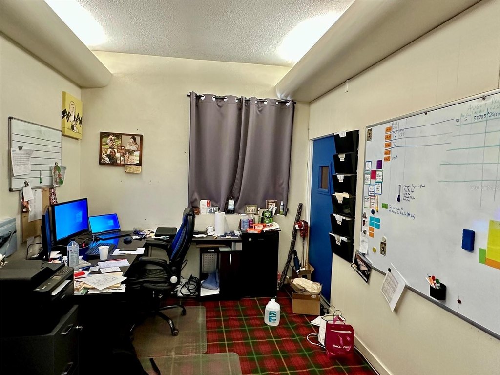 Picture 11