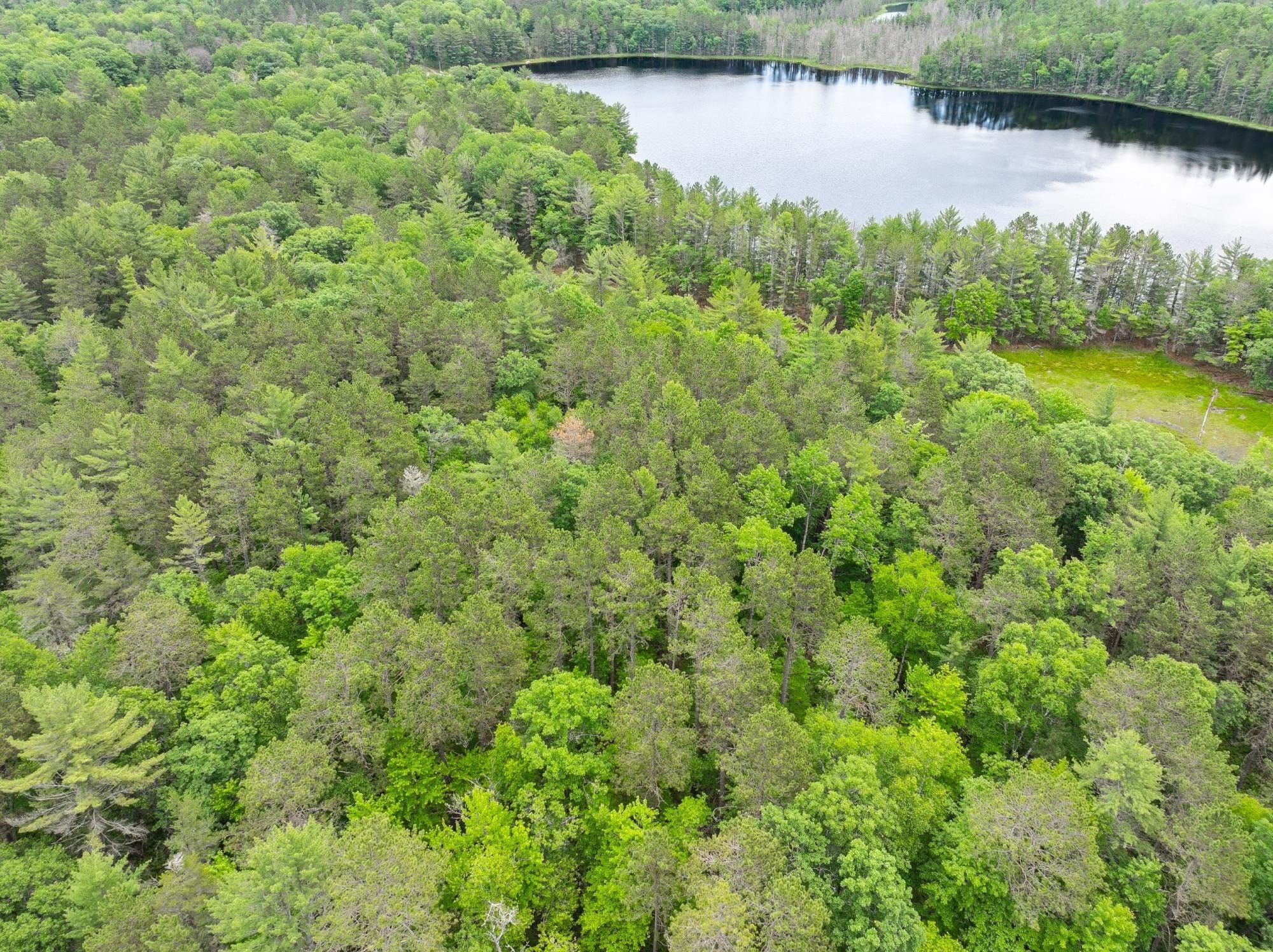 Eagle River Wooded Lakefront Land