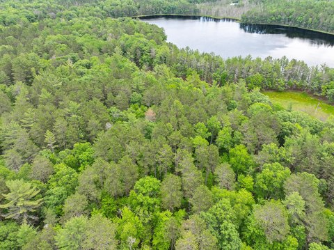 Eagle River Wooded Lakefront Land