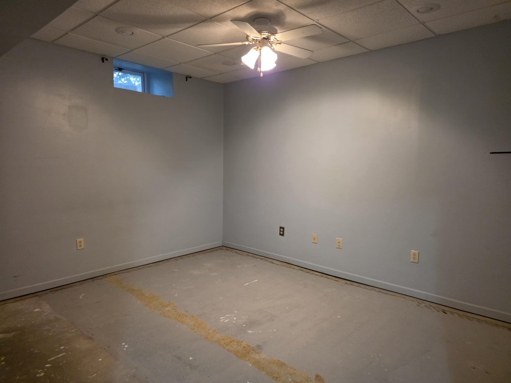 Picture 41