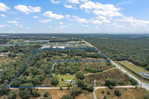 25 Acres in Eustis, FL