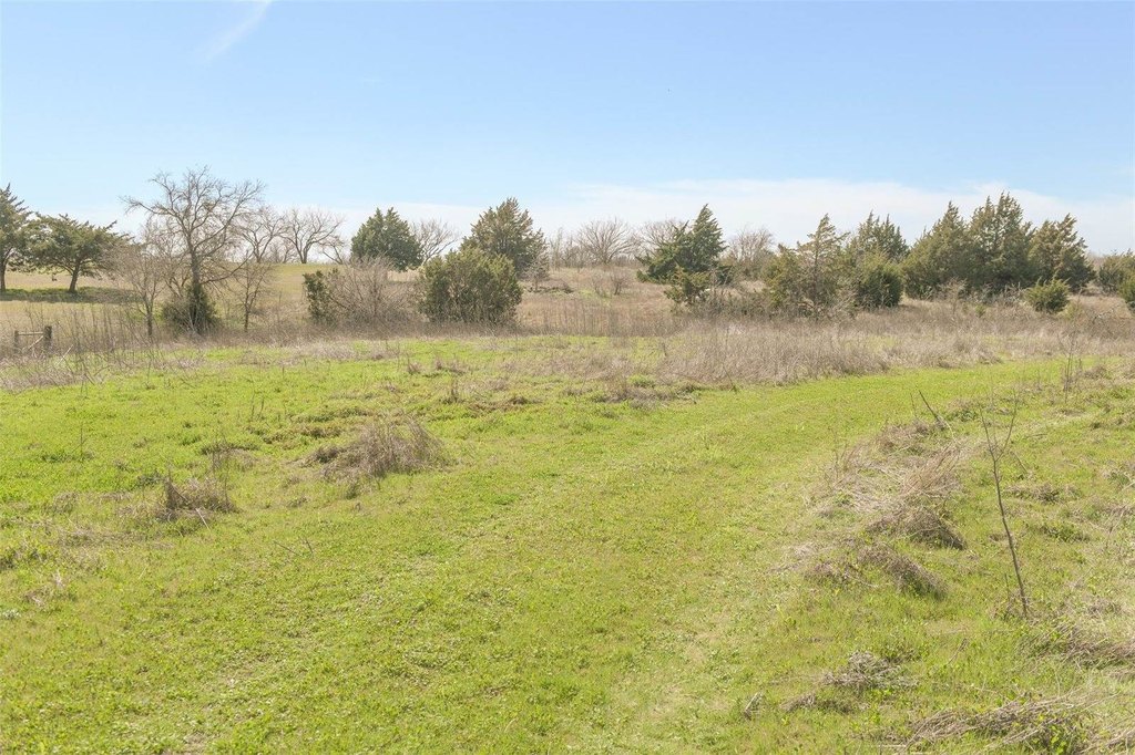 Picture 14