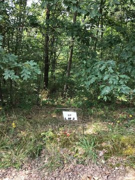 Wooded Level Recreation Lot