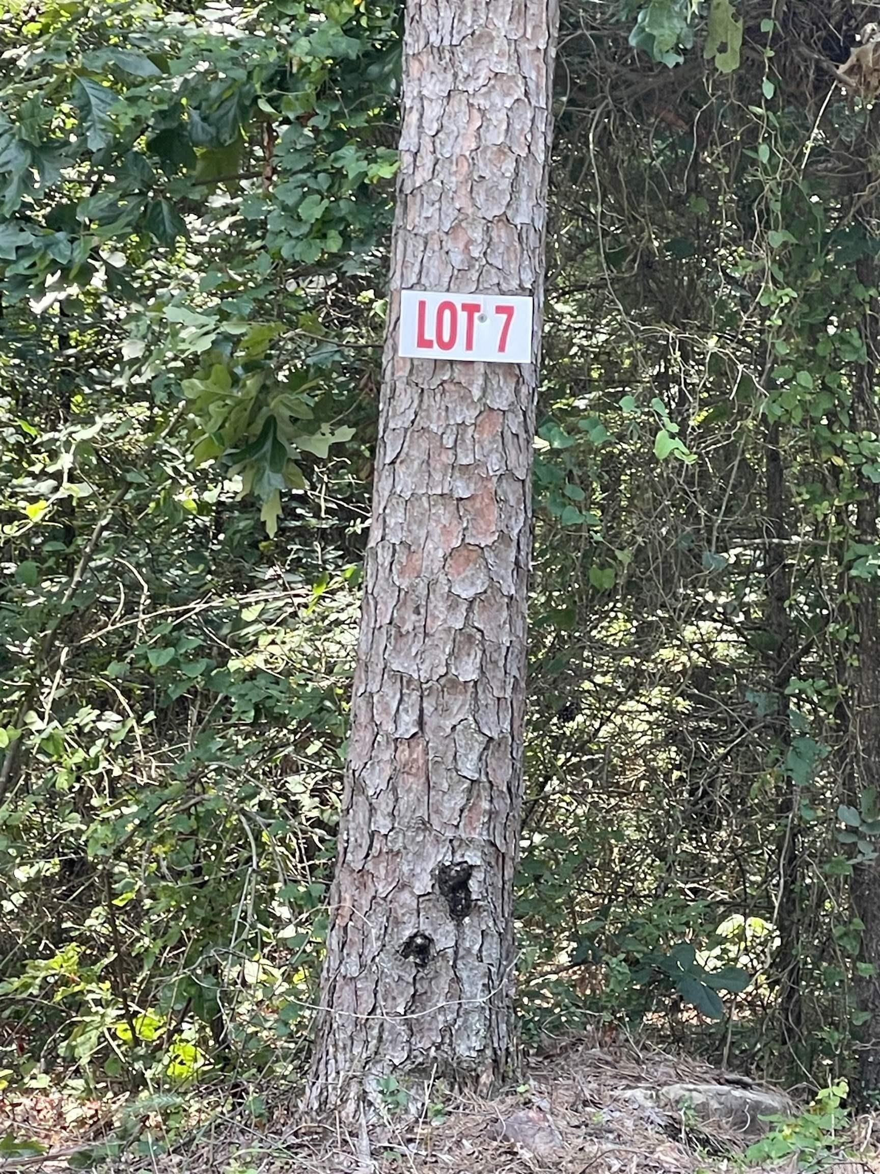 Flat Lot in Greers Ferry