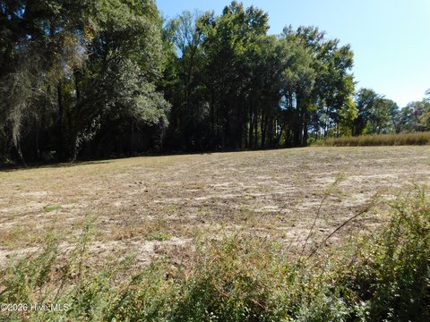 Residential Land in Bennettsville, SC