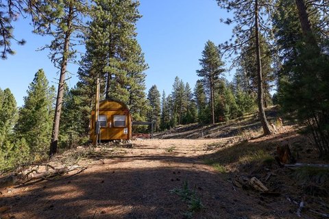 Treed Land with RV Parking