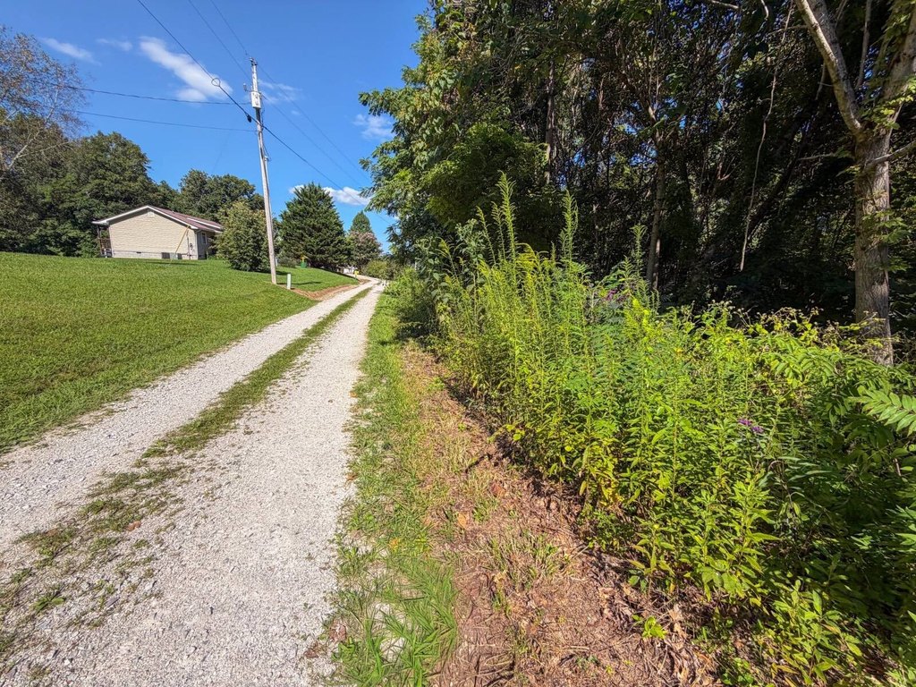 Picture 9