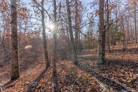 23 Acres Wooded Hunting Land