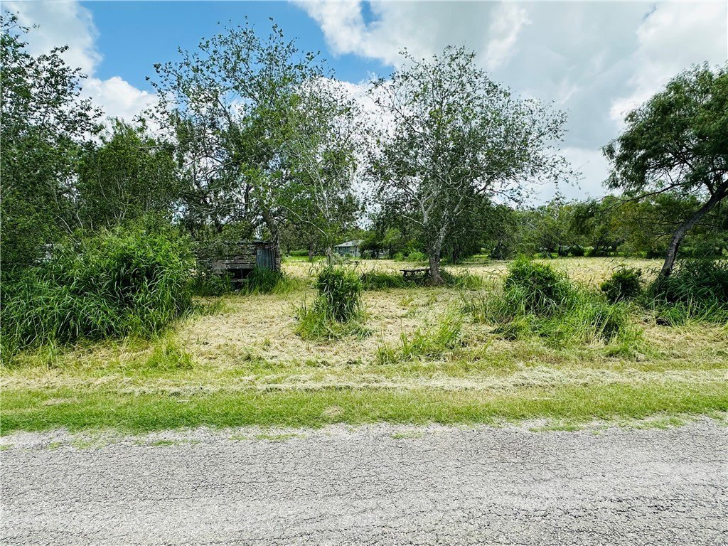 Picture 6