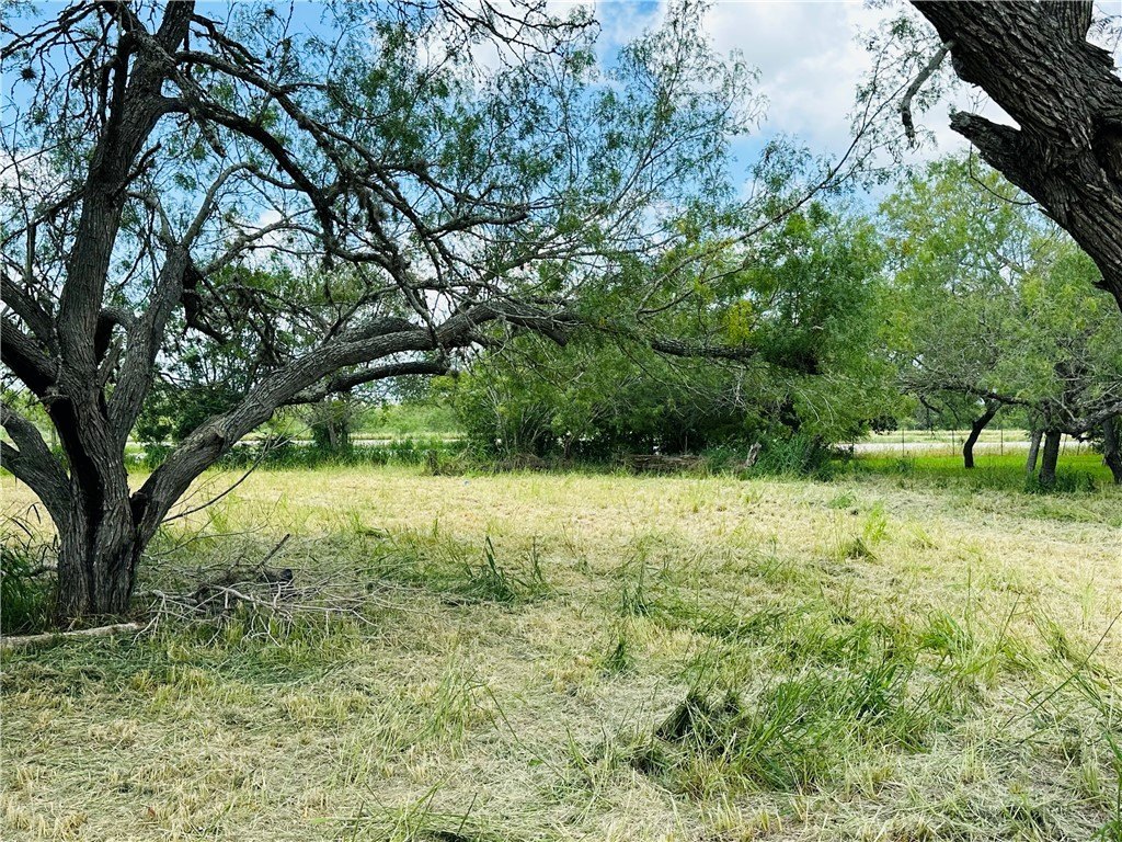 Picture 14