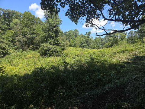 Land, Irvine, KY