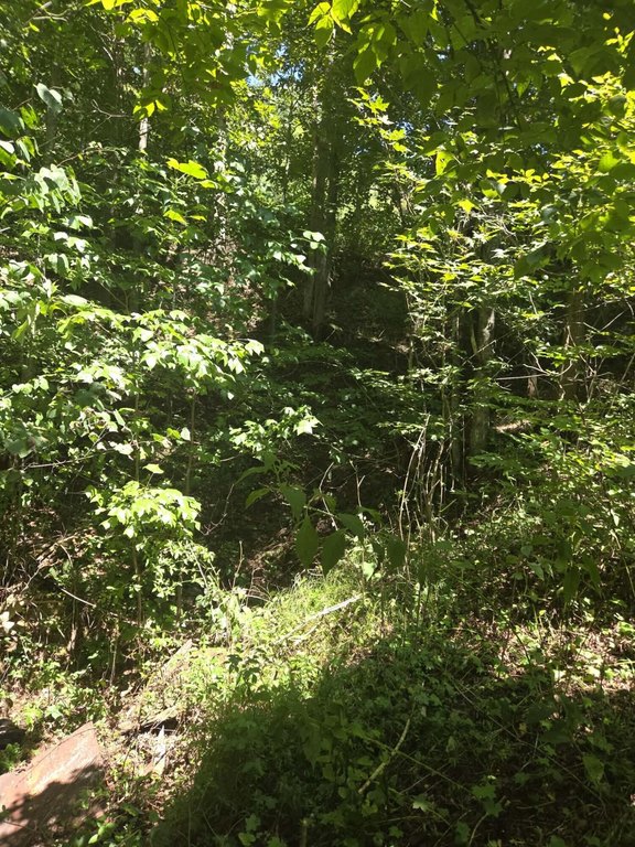 Picture 10