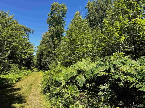 56 Acres in Marquette County