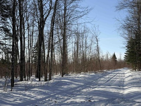 56 Acres in Marquette County