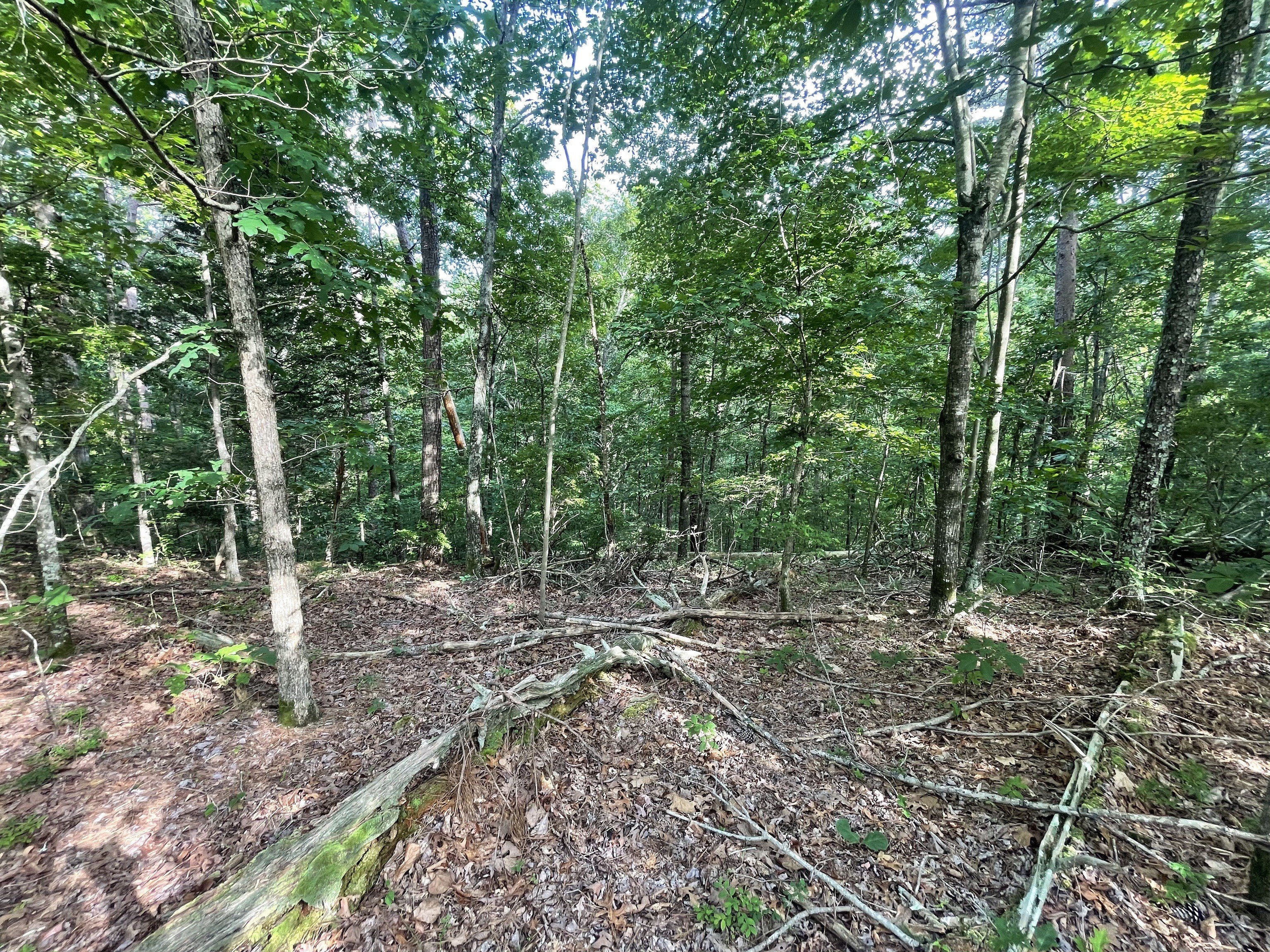 Ranger, GA Land For Sale