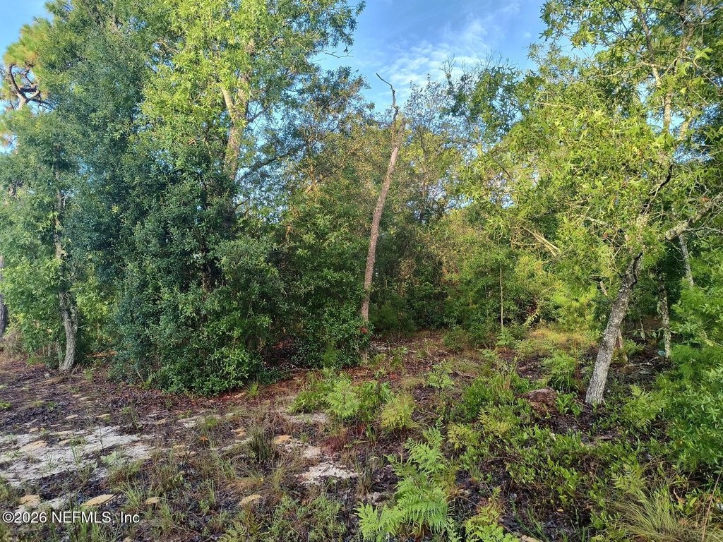 Picture 6