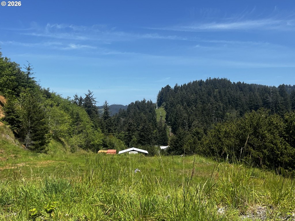 Picture 27