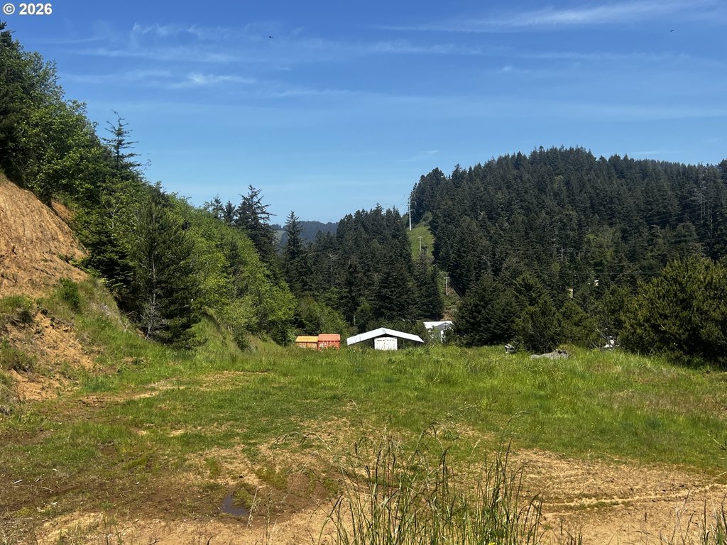 Picture 28