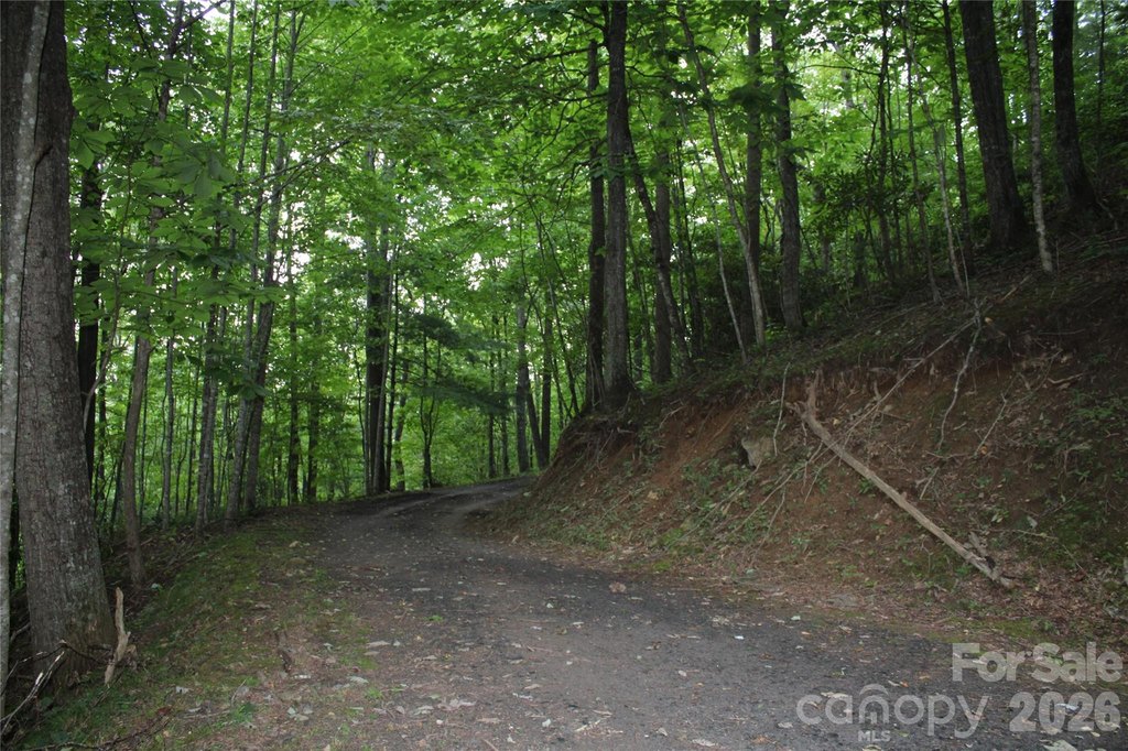 Picture 8