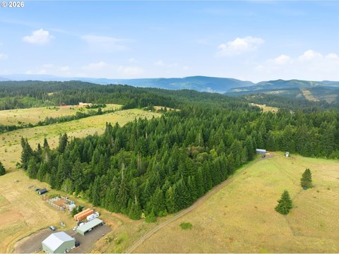 Acreage Parcel with Timber and Meadows