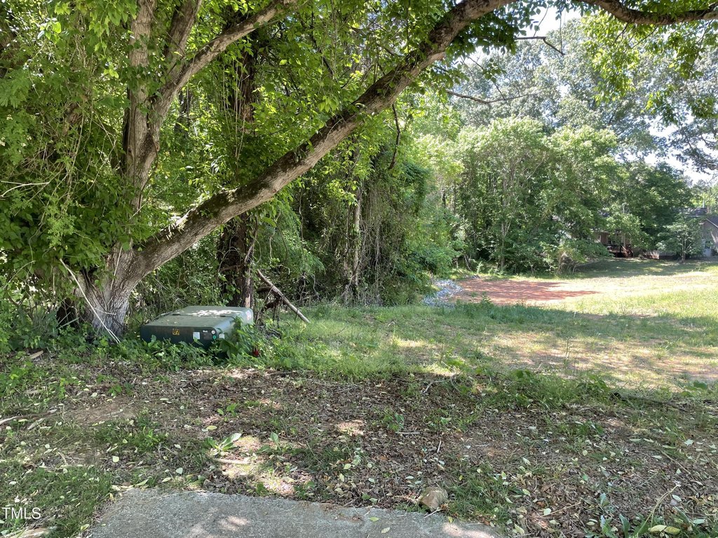 Picture 16