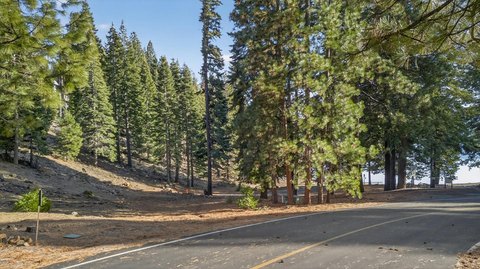 Lake Almanor Waterfront Lot