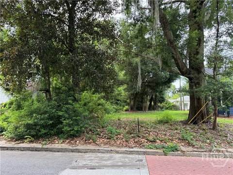 LAND - Savannah, GA