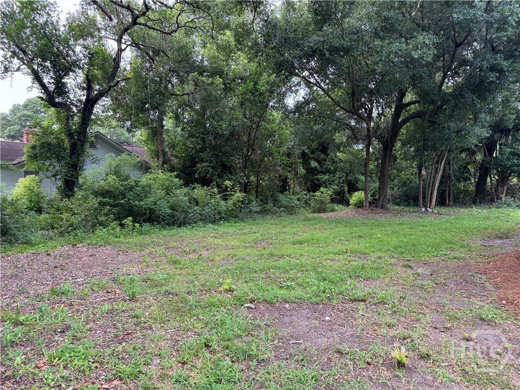 Picture 2