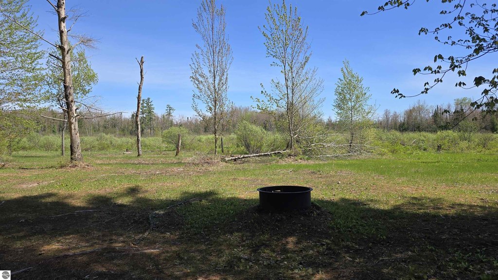 Picture 28