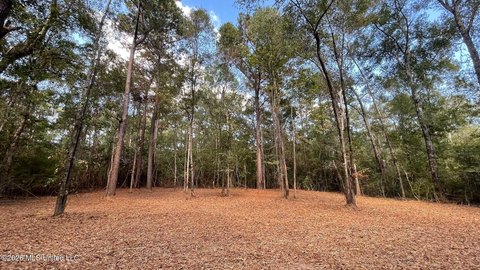 Land, Saucier, MS