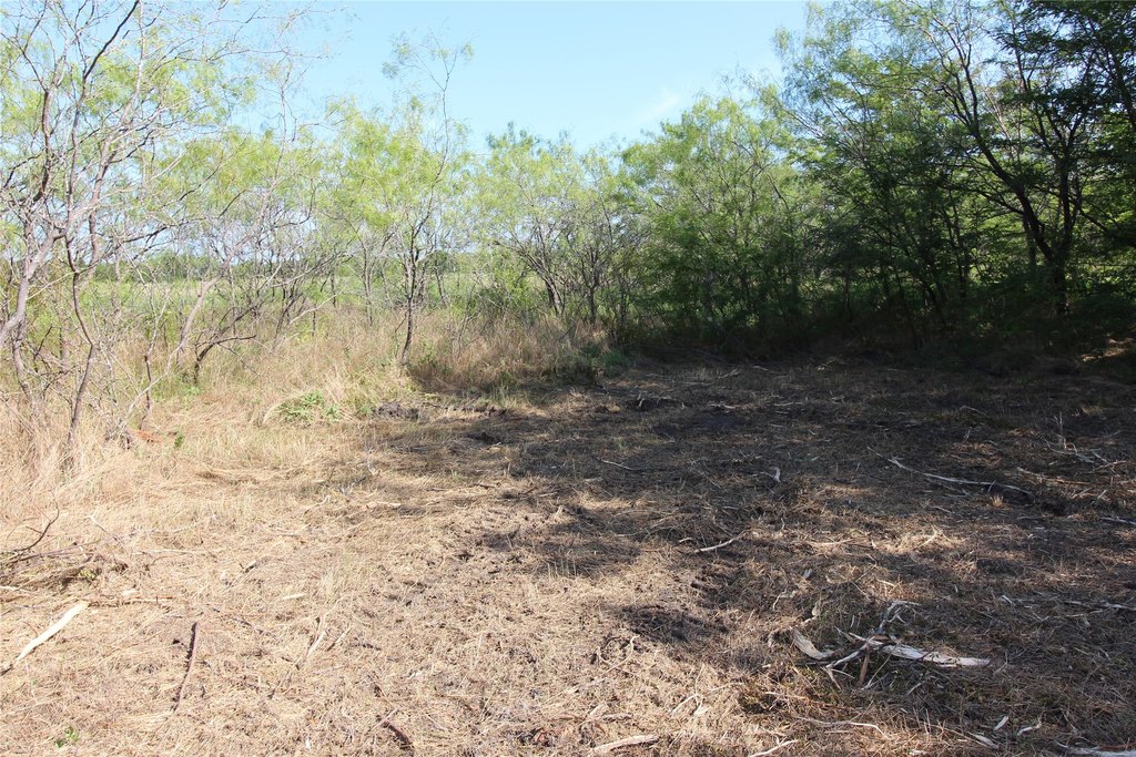 Picture 9