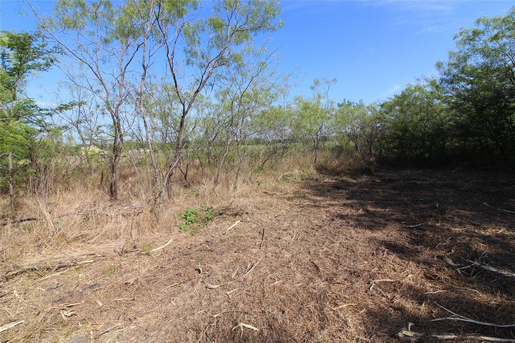 Picture 10