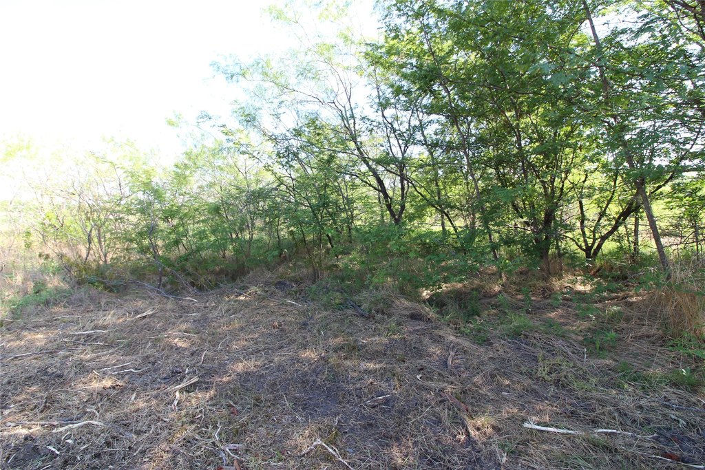 Picture 4