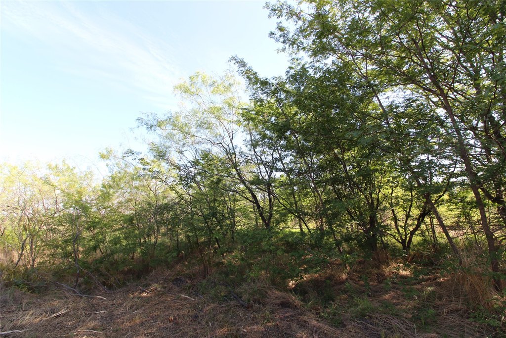 Picture 11